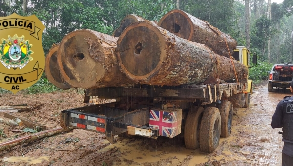 Polícia Civil realiza diligências em zona rural de Sena Madureira, apreende caminhão com madeira ilegal e resgata cães em situação de abandono